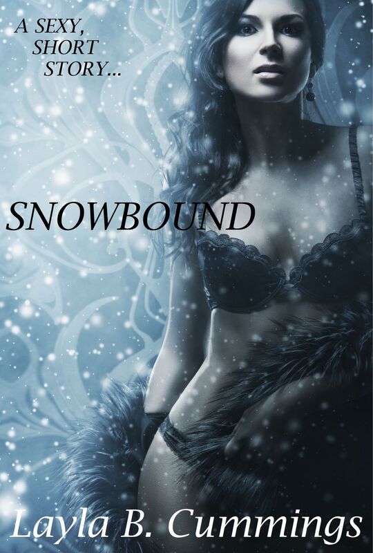 Snowbound: A Sexy Short Story