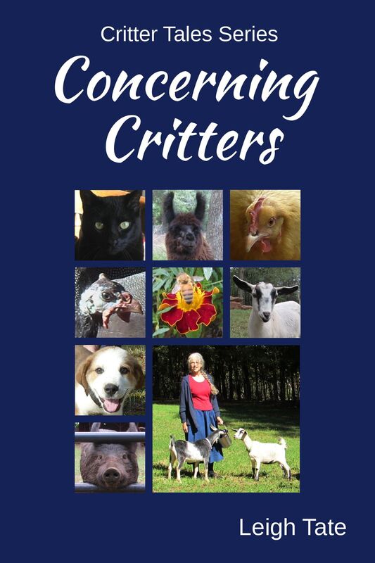 Concerning Critters