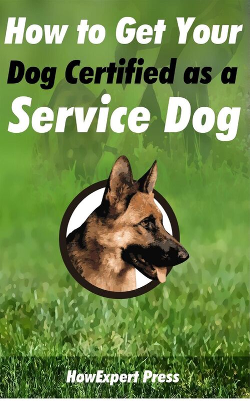 How to Get Your Dog Certified as a Service Dog