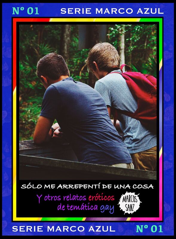 Sólo me arrepentí de una cosa. Y otros relatos eróticos de temática gay. Serie Marco Azul Nº1