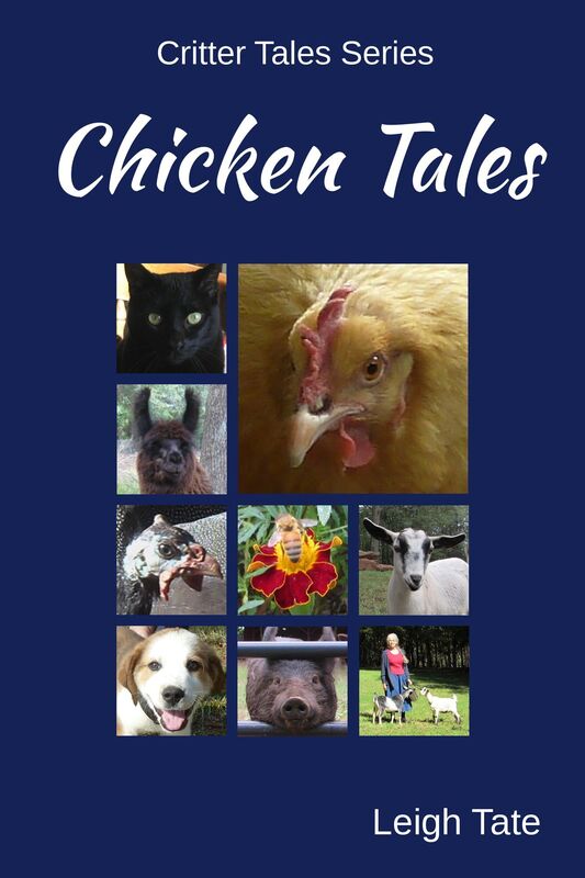 Chicken Tales
