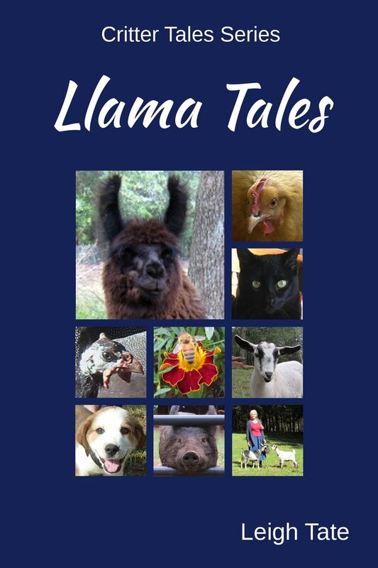 Llama Tales