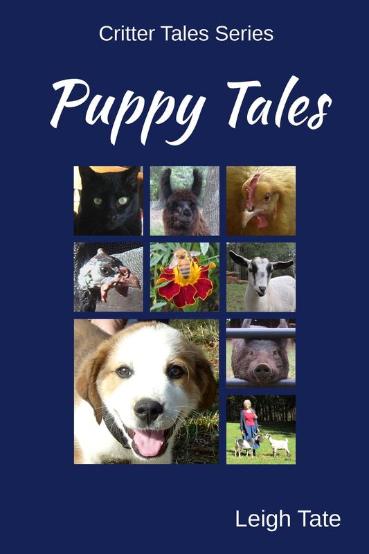 Puppy Tales