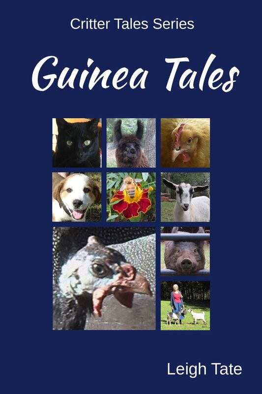 Guinea Tales