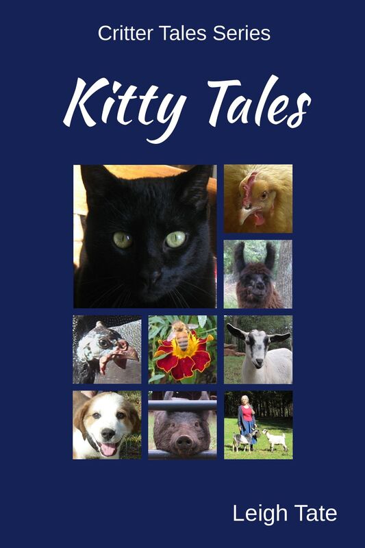 Kitty Tales
