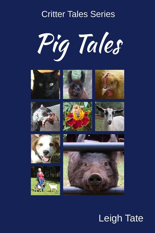 Pig Tales