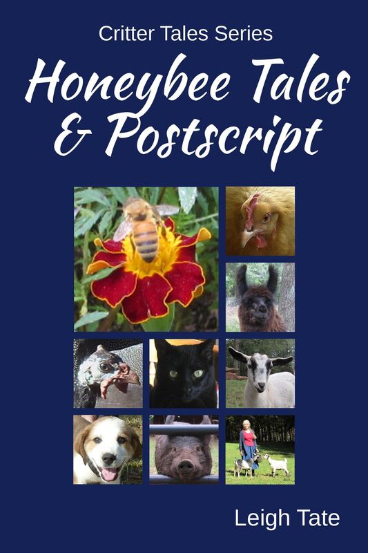 HoneyBee Tales and Postscript