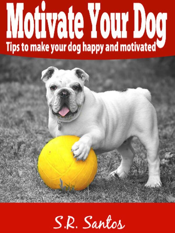 Motivate Your Dog: Tips to Make Your Dog Happy And Motivated