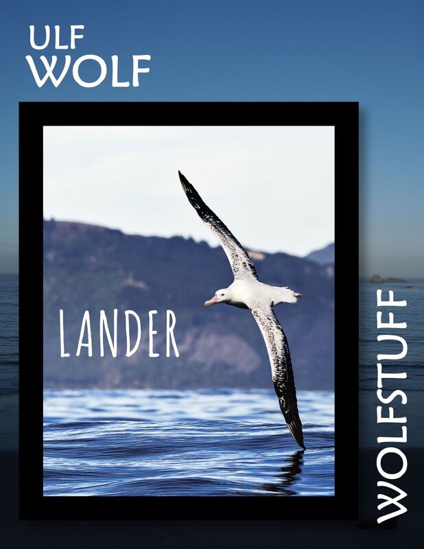 Lander