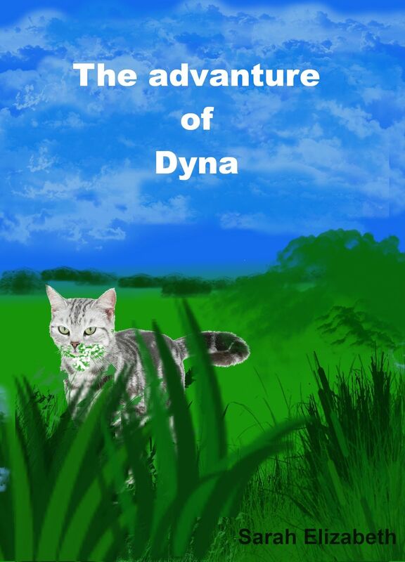 The Adventure of Dyna