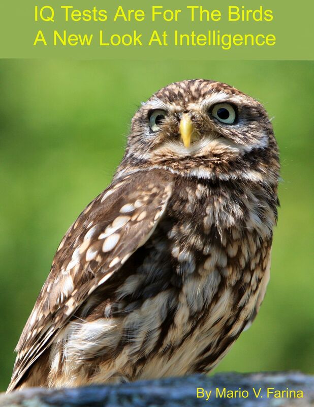 IQ Tests Are For The Birds A New Look At Intelligence