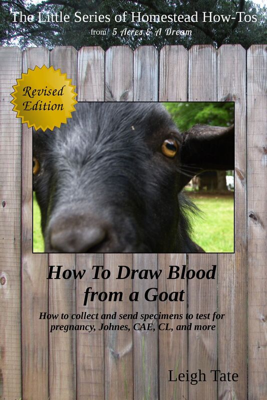 How To Draw Blood from a Goat: How To Collect and Send Specimens to Test for Pregnancy, Johnes, CAE, CL, and More