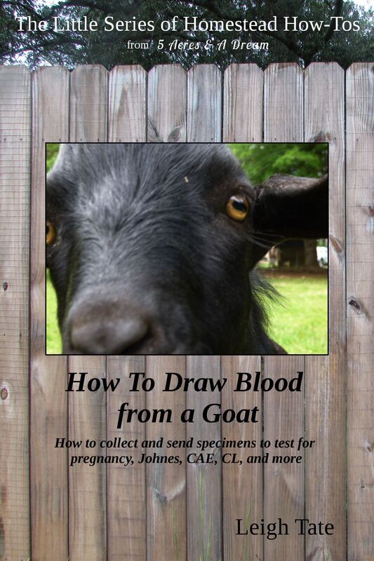 How To Draw Blood from a Goat: How To Collect and Send Specimens to Test for Pregnancy, Johnes, CAE, CL, and More