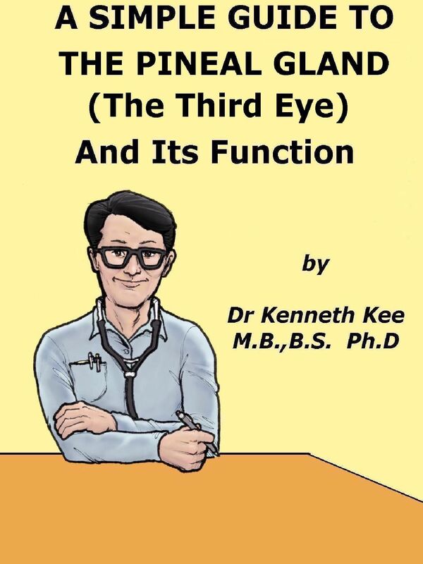 A Simple Guide to The Pineal Gland (The Third Eye) And Its Function