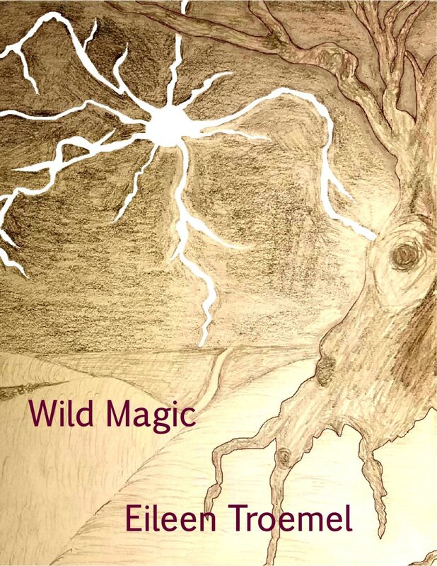 Wild Magic