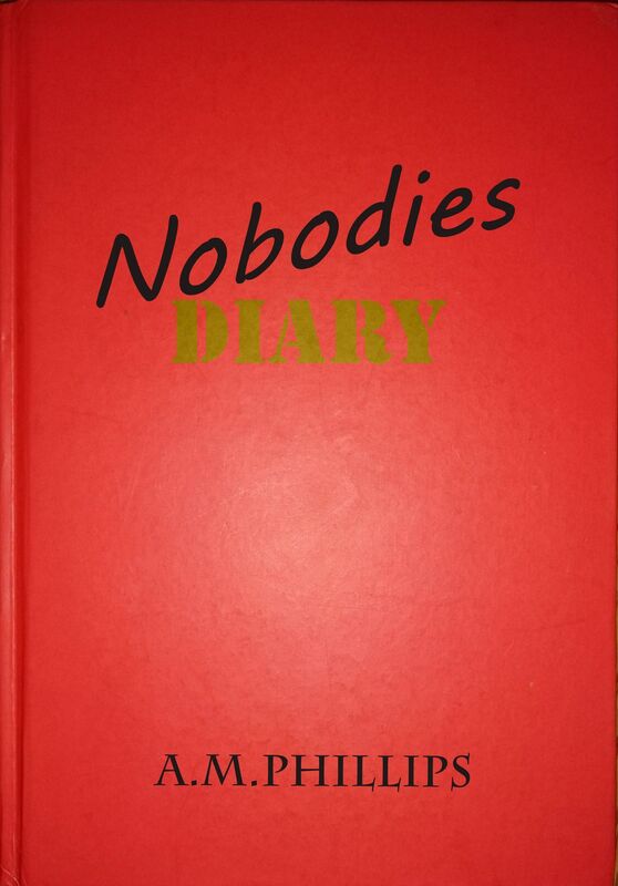 Nobodies Diary