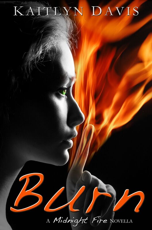 Burn (Midnight Fire Series Book Five)