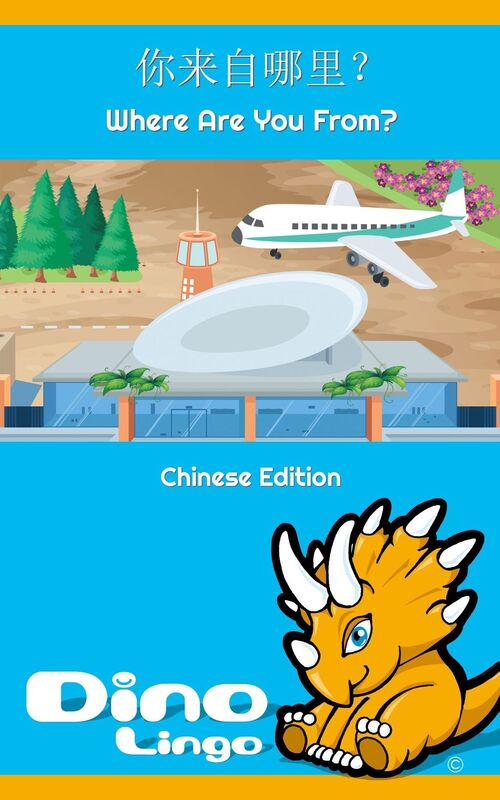 ni lai zi na li?
