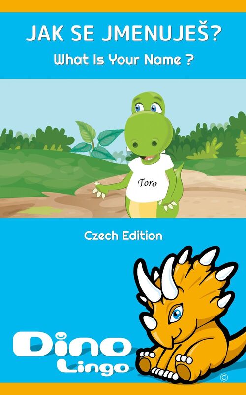 Jak Se Jmenujes?