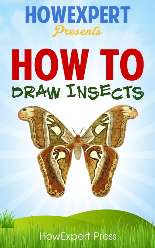 How To Draw Insects