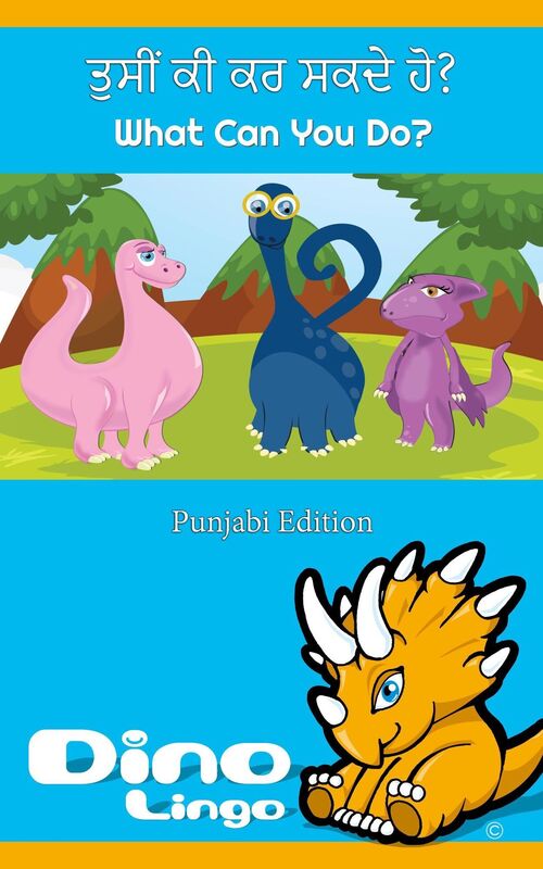tusim ki kara sakade ho ?