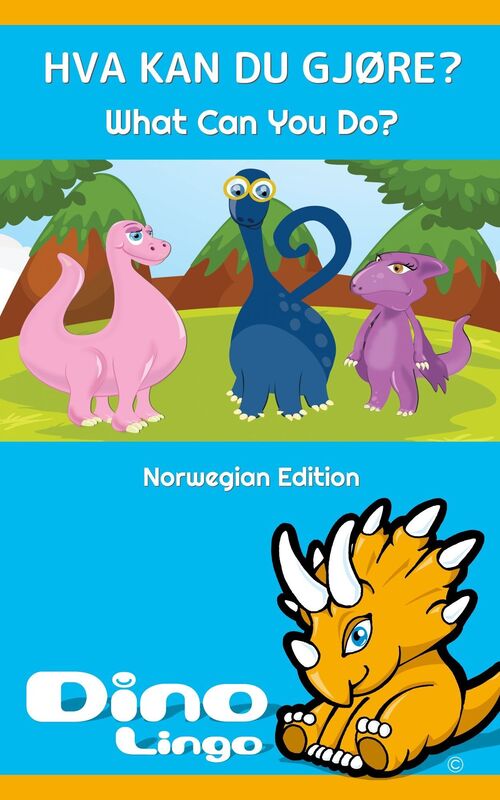Hva Kan Du Gjøre?