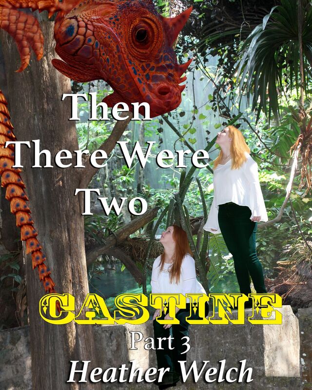 Castine, Then There Were Two, Part 3