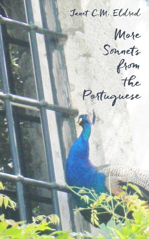 More Sonnets from the Portuguese