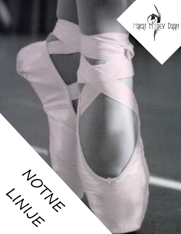Notne linije