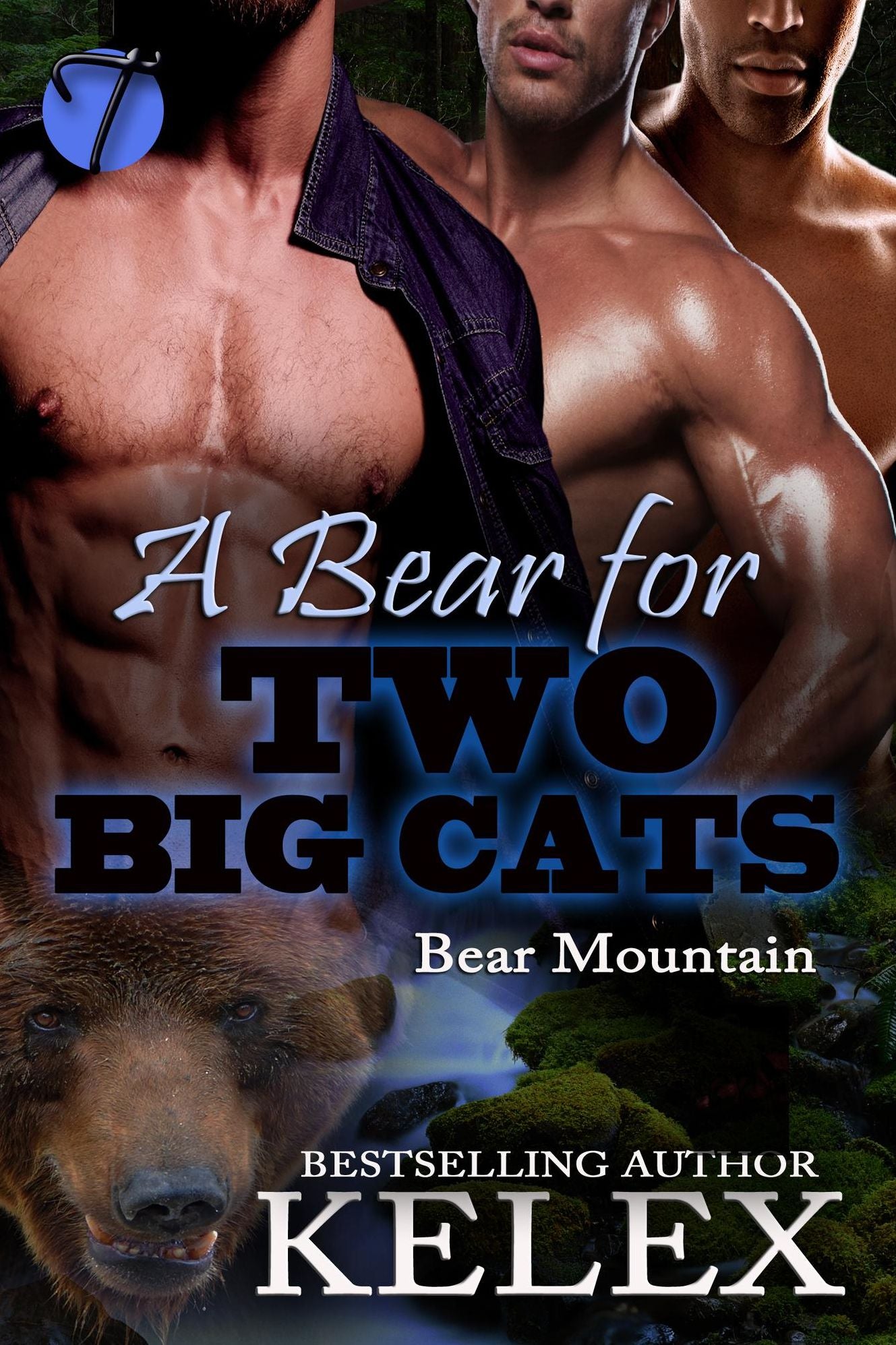 A Bear for Two Big Cats