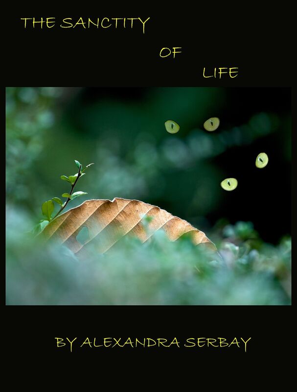 The Sanctity of Life