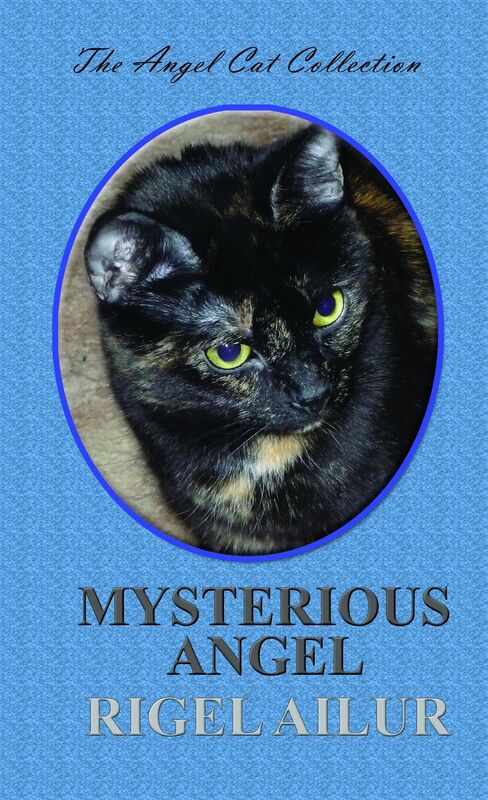 Mysterious Angel