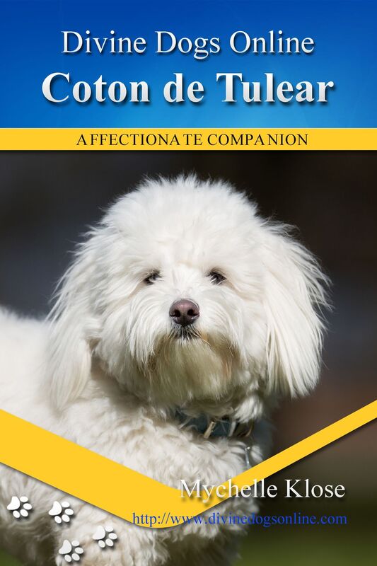 Coton de Telear