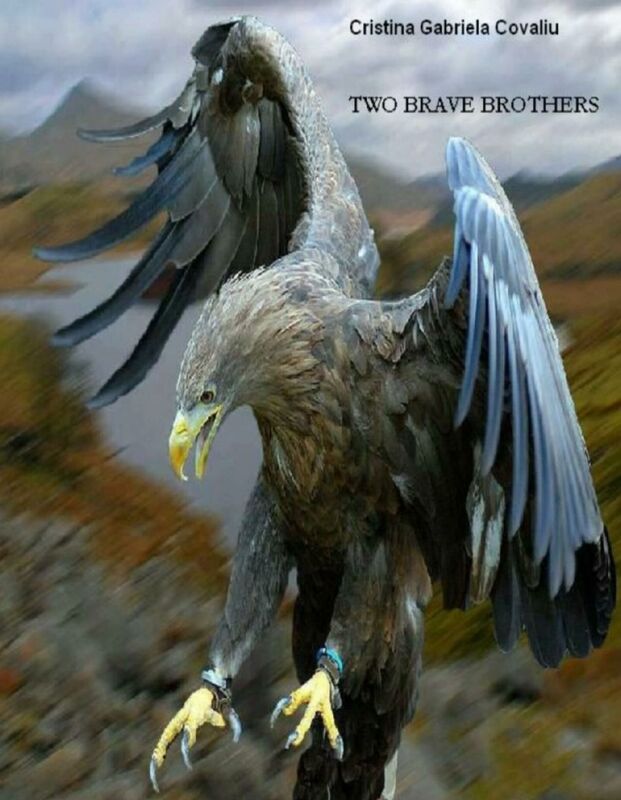 Two brave brothers