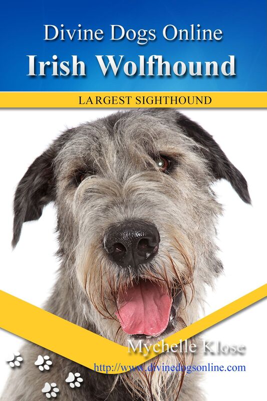 Irish Wolfhound
