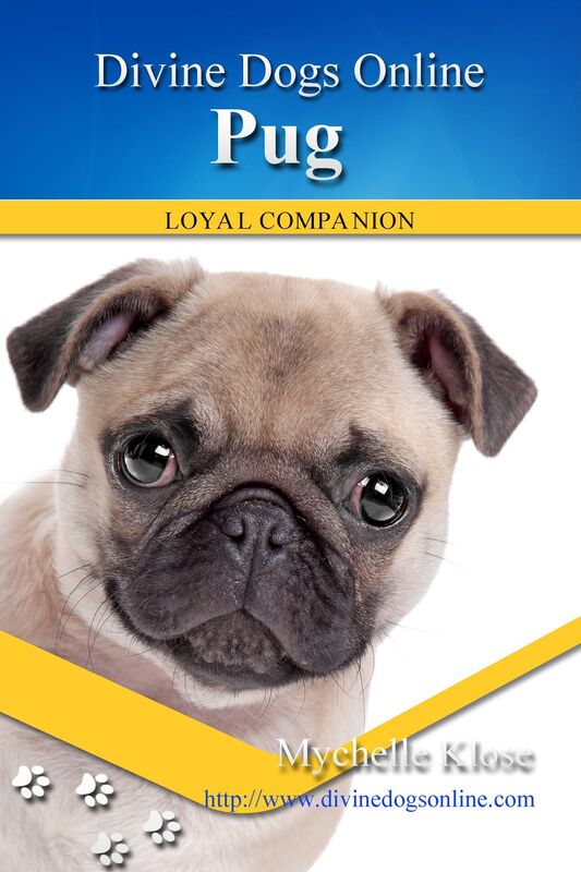 Pug