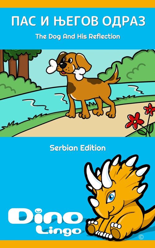 Pas i negov odraz