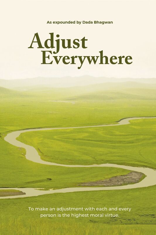 Adjust Everywhere (In English)