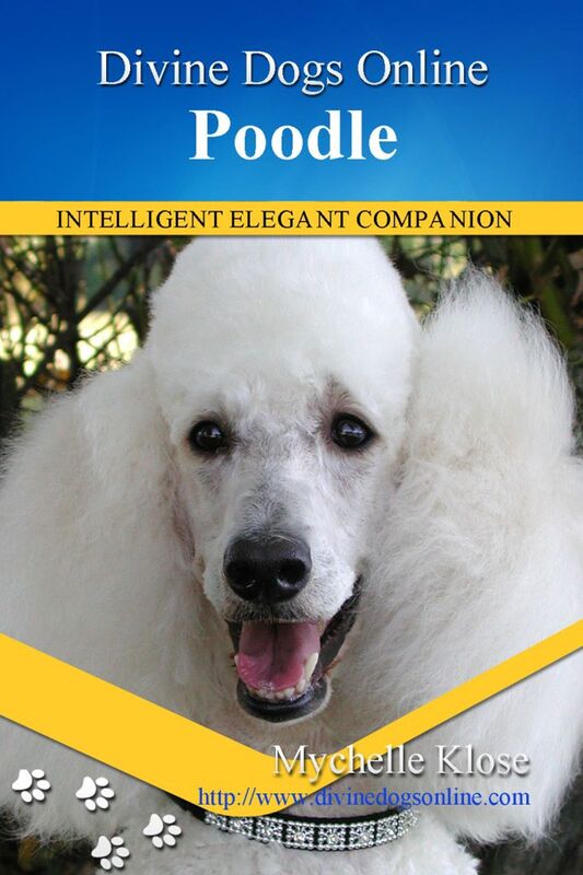 Poodle