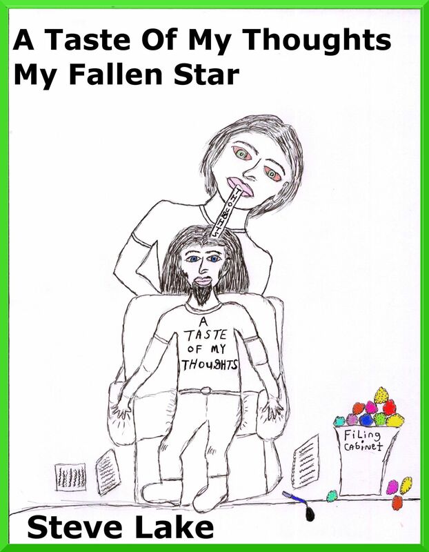 A Taste Of My Thoughts My Fallen Star