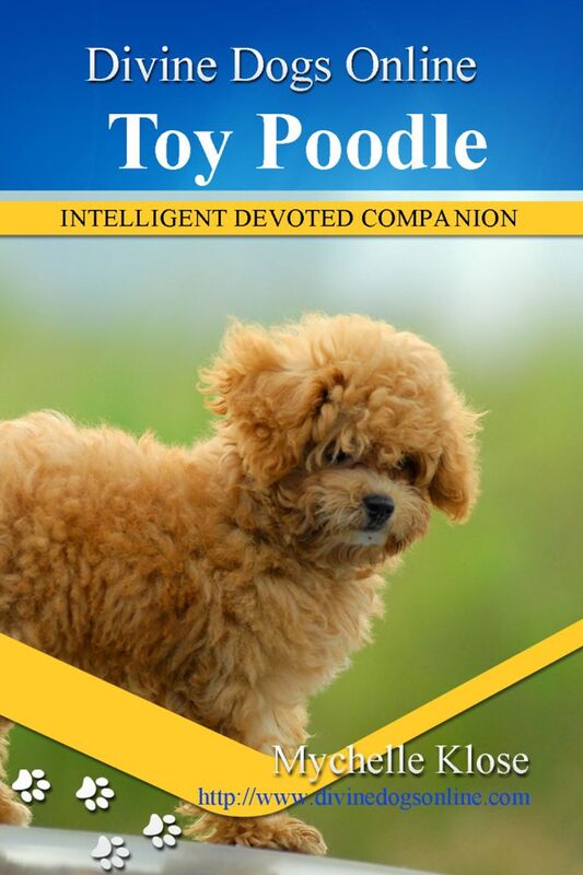 Toy Poodles