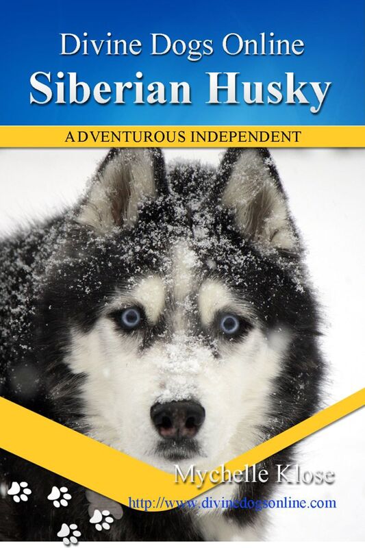 Siberian Husky