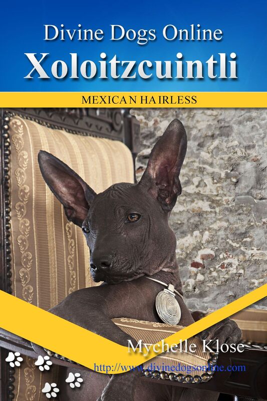 Xoloitzcuintli (Mexican Hairless)