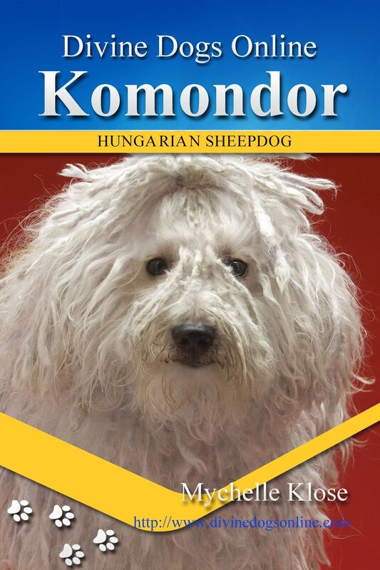 Komondor