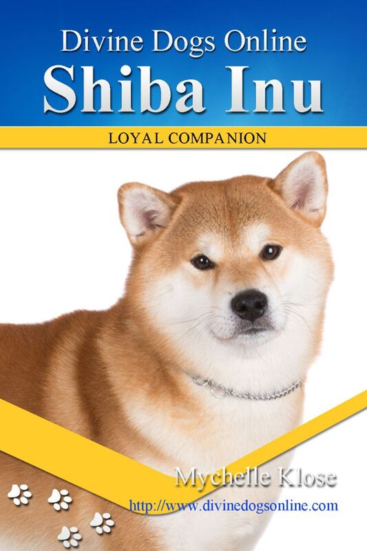 Shiba Inu