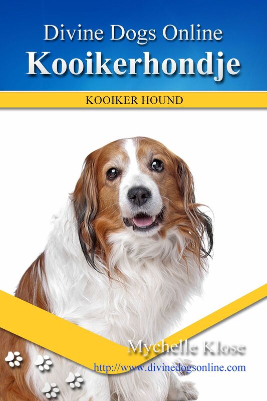 Kooikerhondje