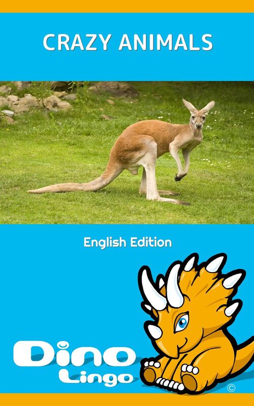 Crazy Animals