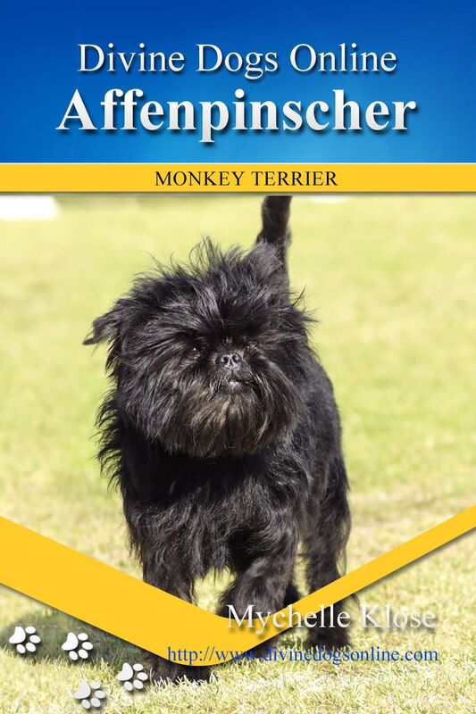 Affenpinscher