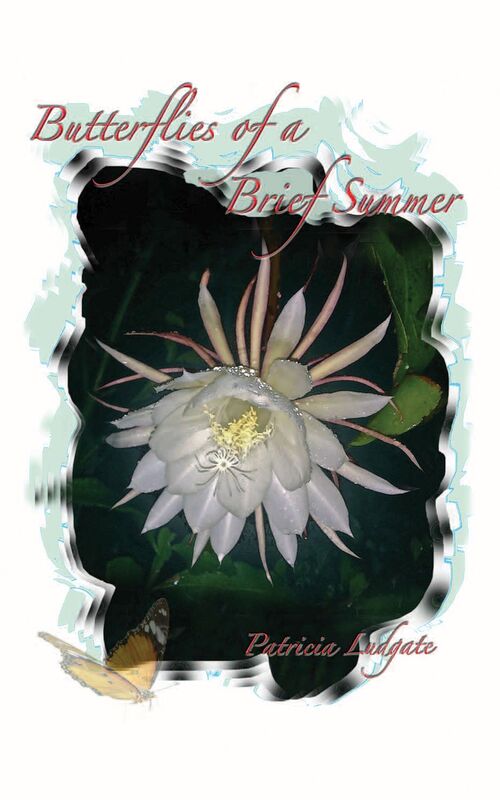 Butterflies of a Brief Summer: Memoires - Les Souvenirs sont faits de tels Moments