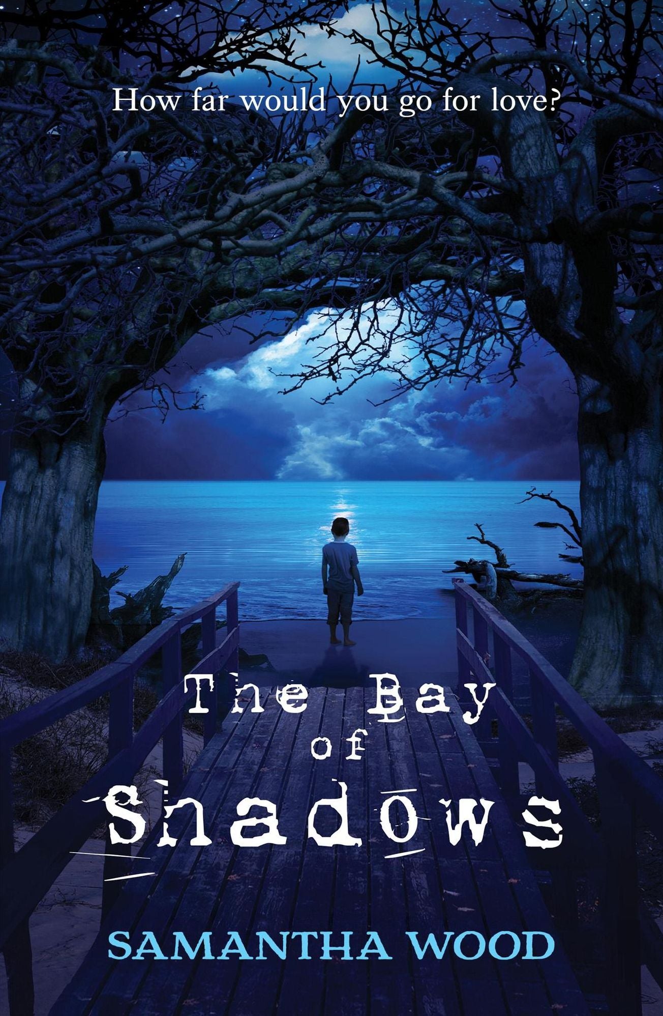 The Bay of Shadows